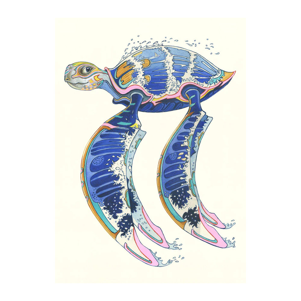 Racing Turtle Greeting Card by Daniel Mackie - 7 x 5 inches with envelope