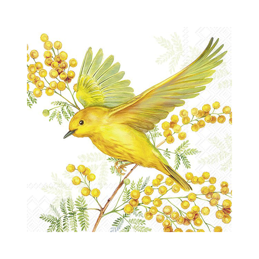 Joy of Spring Yellow Bird IHR Paper Cocktail Napkins 25 cm 20 pack 3 ply