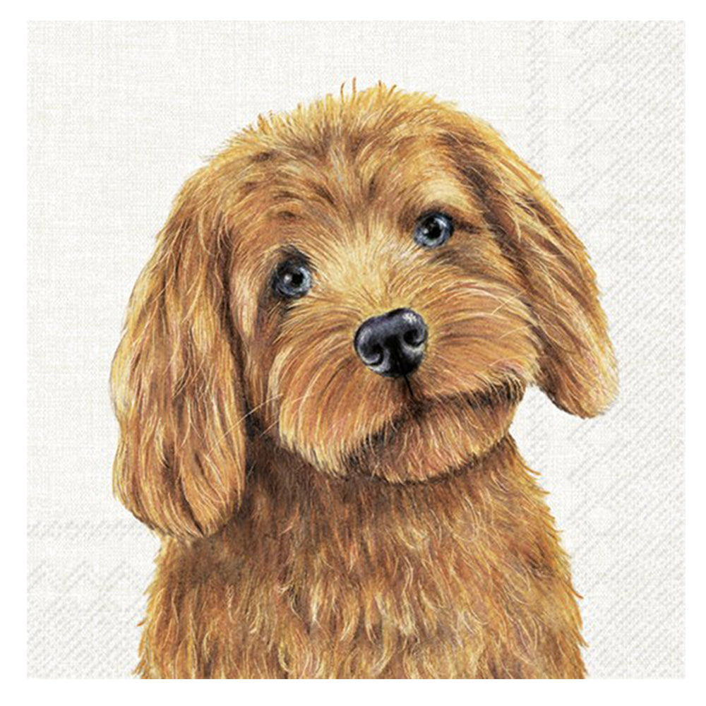 Farm Dog Cream IHR Paper Table Napkins 33 cm square 3 ply lunch napkins