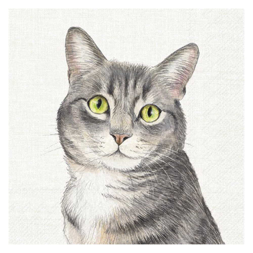 Farm Cat Cream IHR Paper Table Napkins 33 cm square 3 ply lunch napkins