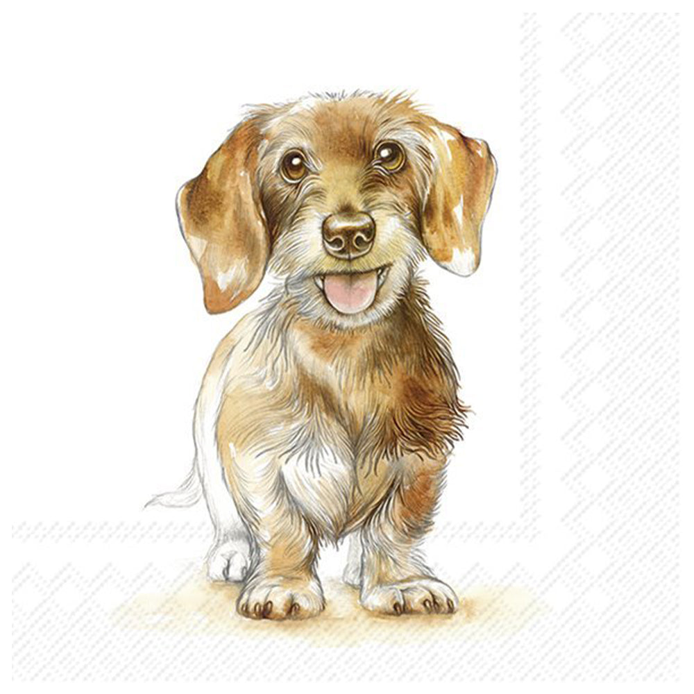 Fritz Dog Daschund IHR Paper Table Lunch Napkins 33 cm square 3 ply