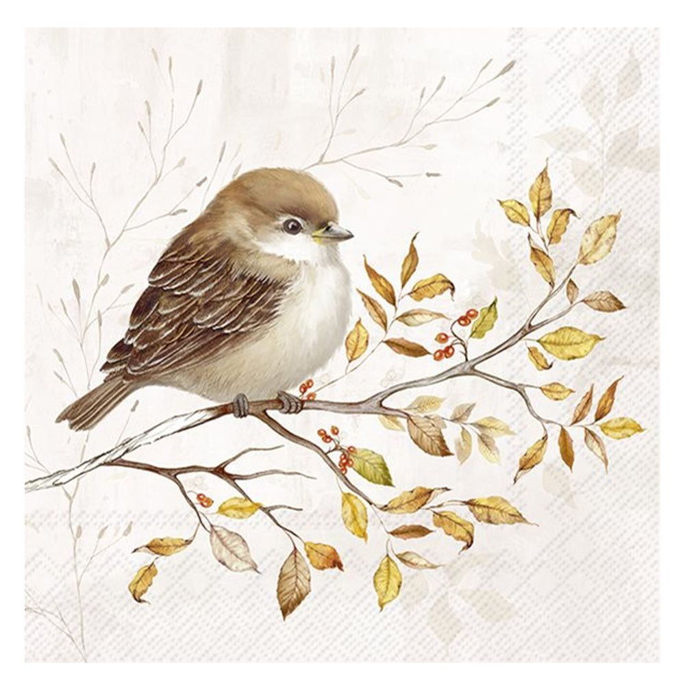 Autumn Melody Bird Cream IHR Paper Table Lunch Napkins 33 cm square 3 ply
