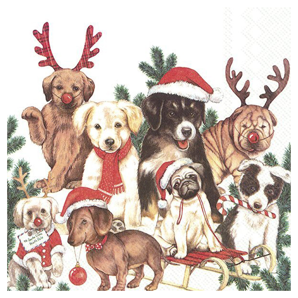 Dog - Mas Christmas Dogs IHR Paper Table Lunch Napkins 33 cm square 3 ply