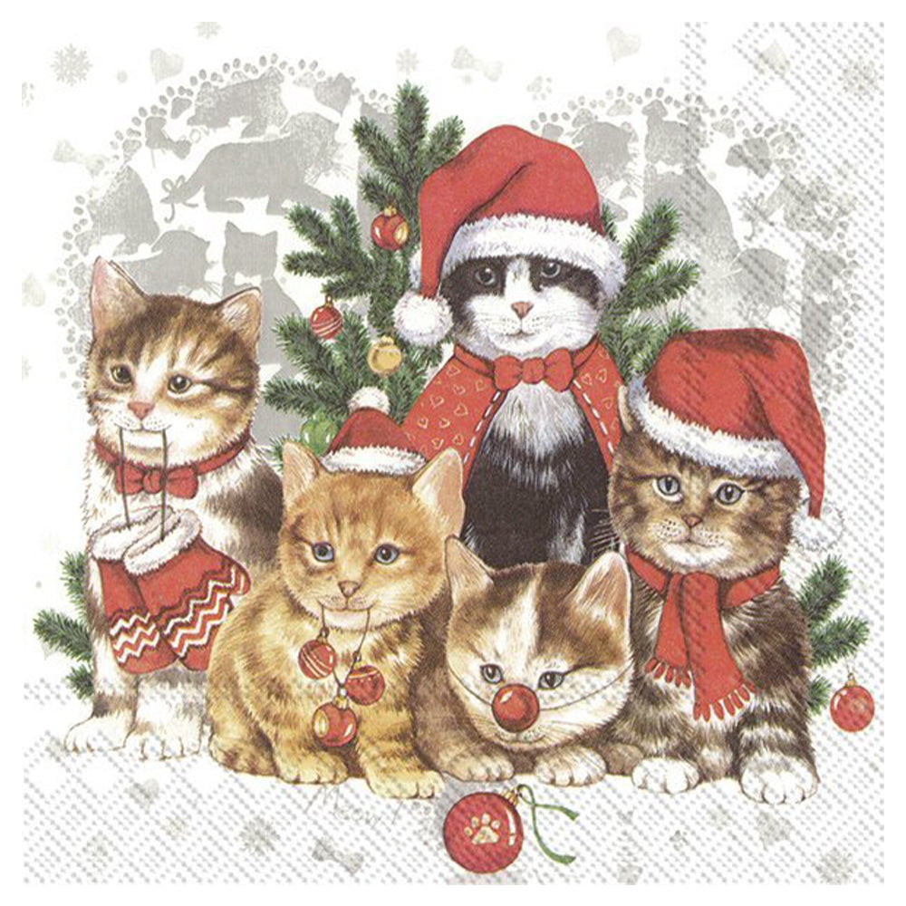 Cat - Mas Christmas IHR Paper Table Lunch Napkins 33 cm square 3 ply
