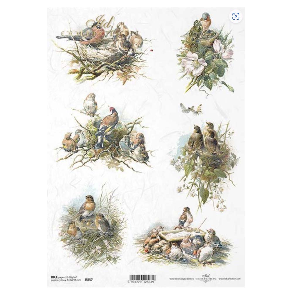 Birds Rice Paper A4 ITD Rice Paper for Decoupage