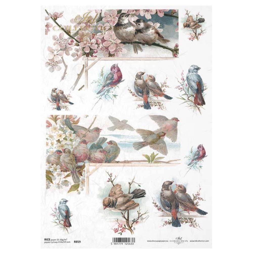 Birds Rice Paper A4 ITD Rice Paper for Decoupage
