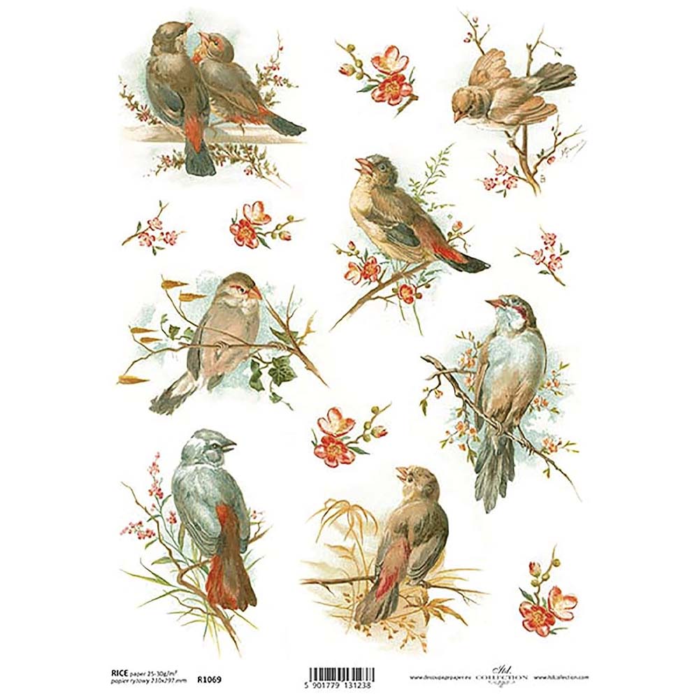 Birds Rice Paper A4 ITD Rice Paper for Decoupage