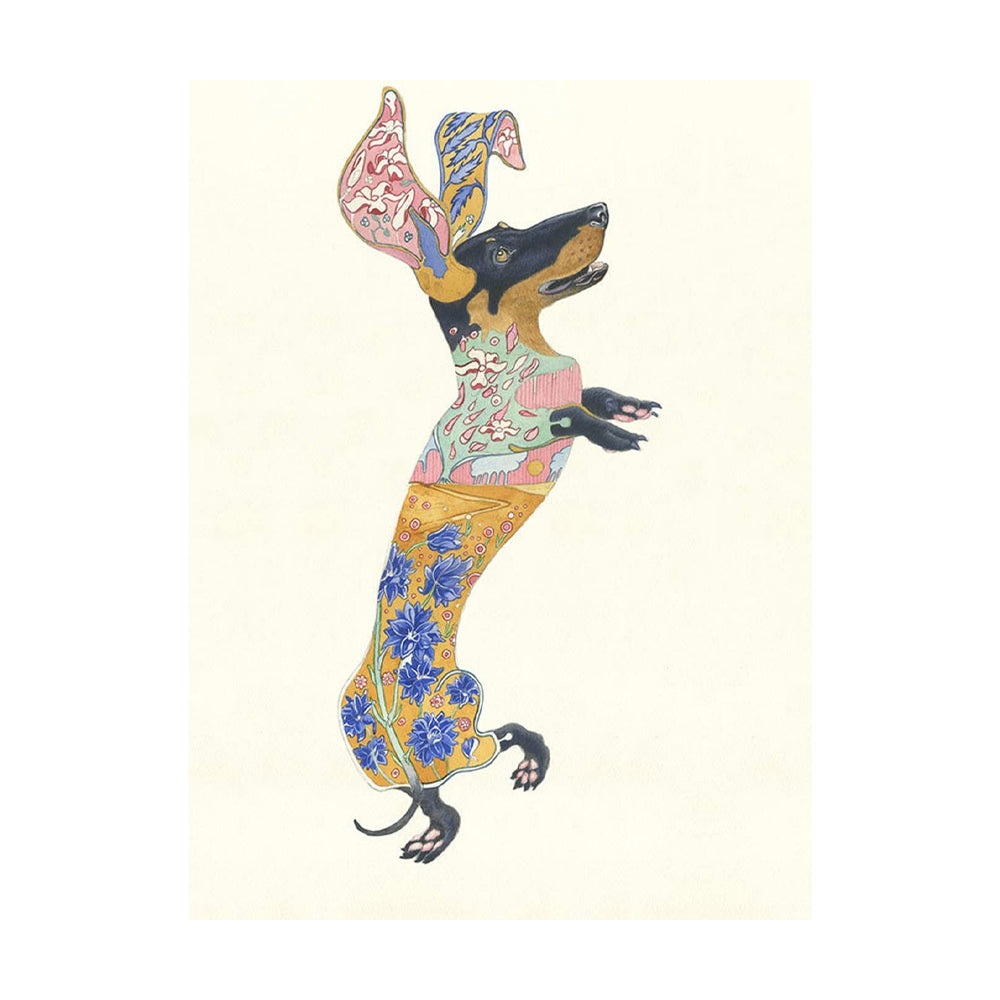 Dachshund Dog Greeting Card by Daniel Mackie - 7 x 5 inches with envelope