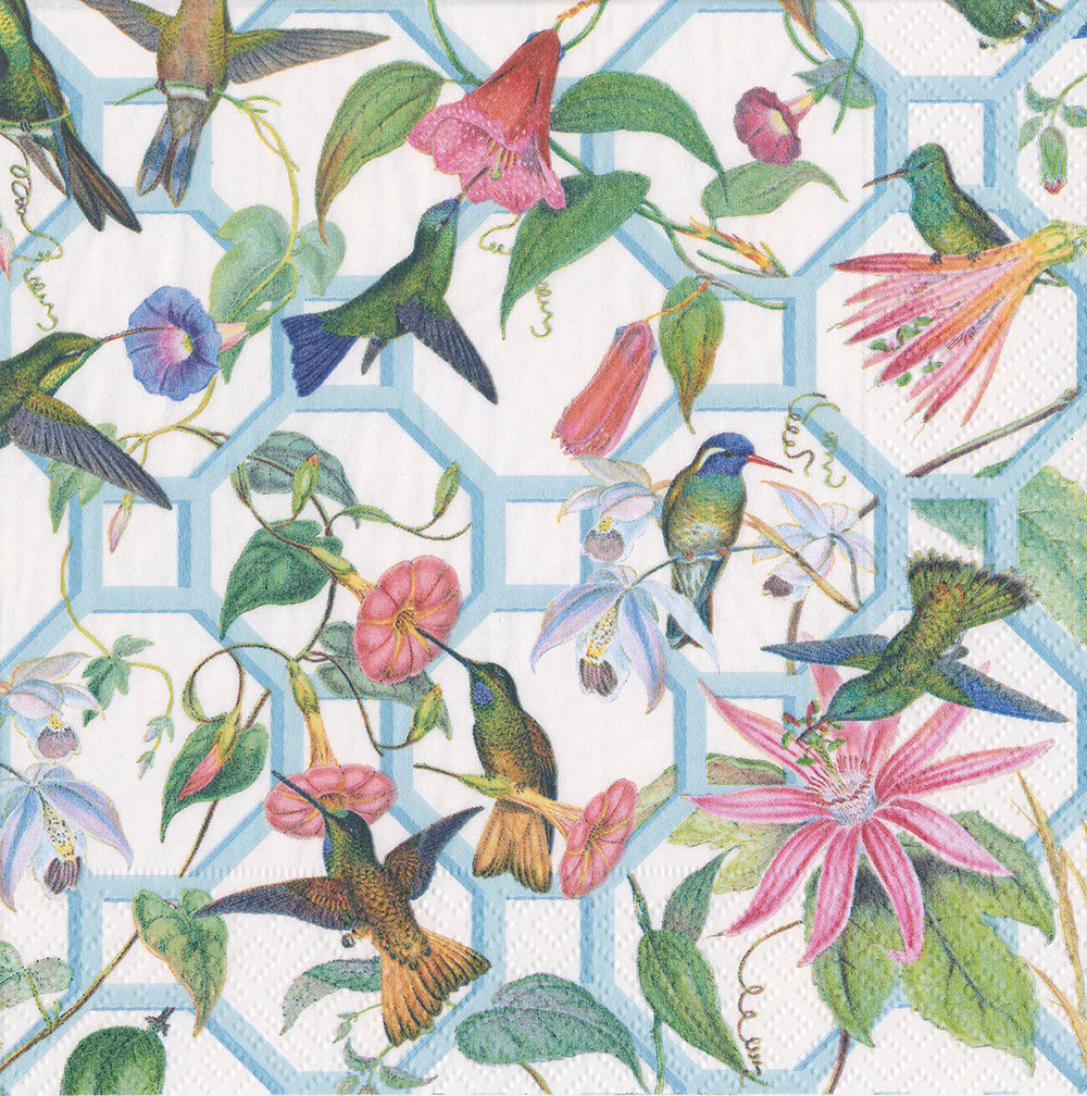 Hummingbird trellis Birds Flowers Caspari Paper Dinner Napkins 40 cm square 3 ply 20 pack