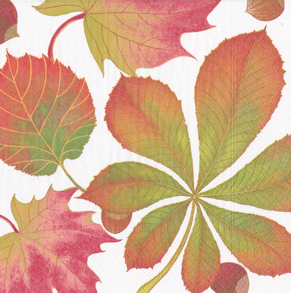 Golden Chestnut Autumn Leaves by Karen Fjord Kjaersgaard Caspari Paper Cocktail Napkins 25 cm square 3 ply 20 pack