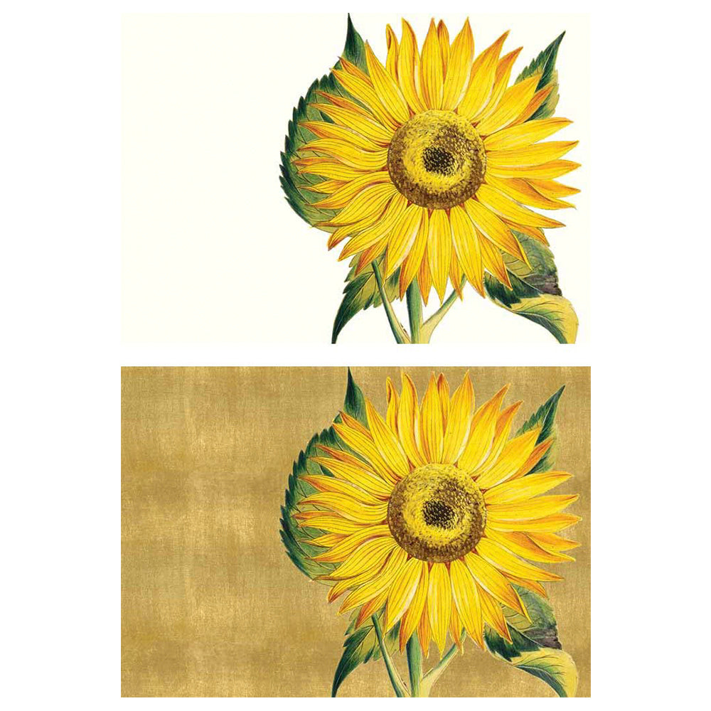 Sunflower RHS Pack of 8 Notelets Notecards from Caspari