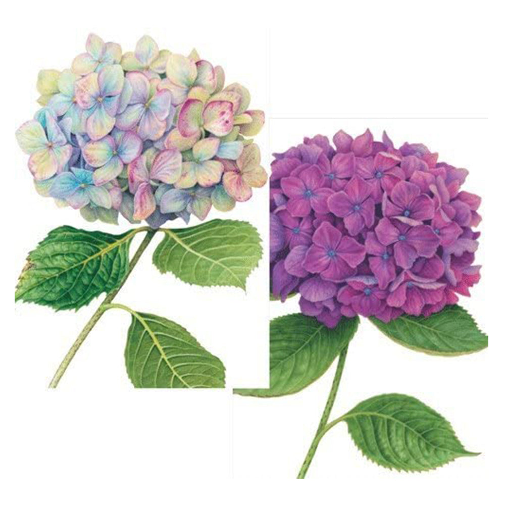 Hydrangeas by Karen Kluglein Pack of 8 Notelets Notecards from Caspari