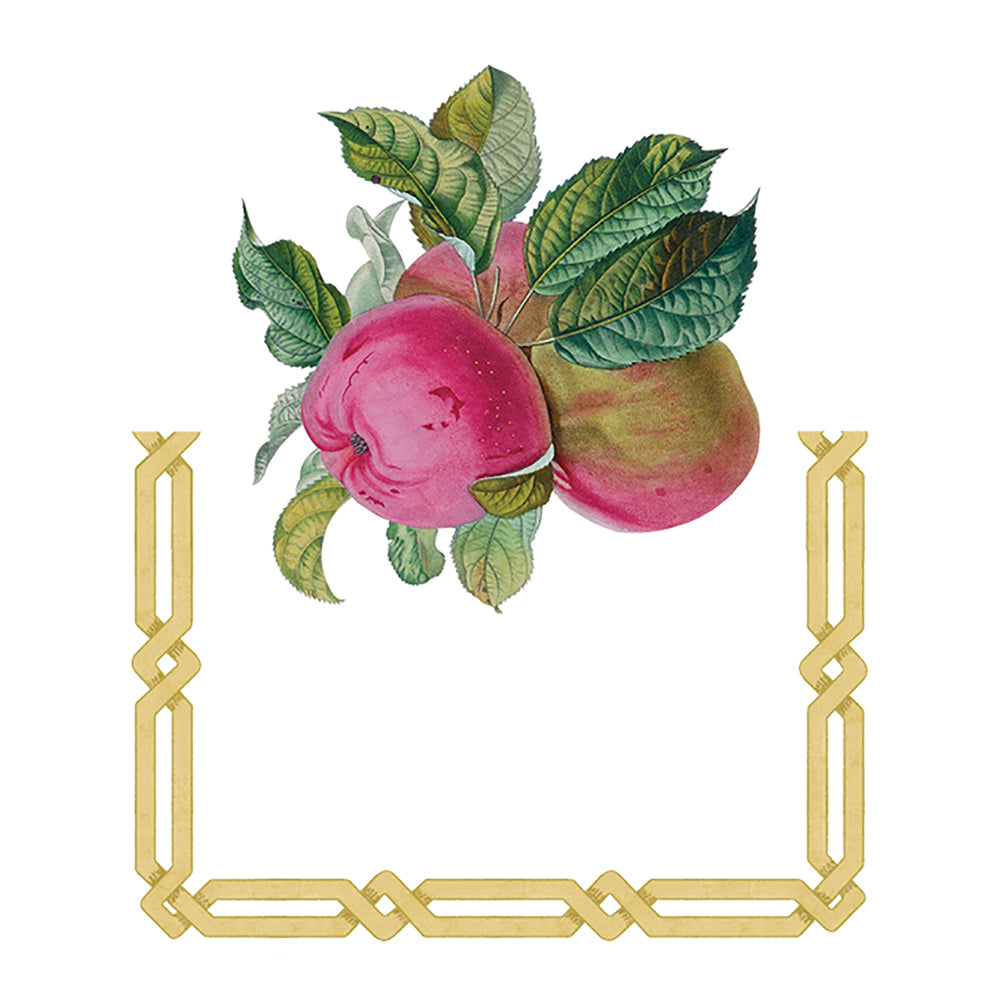 Decoupage Garden Fruit Caspari Set of 8 Die-Cut Place Cards Size 9cm x 9cm