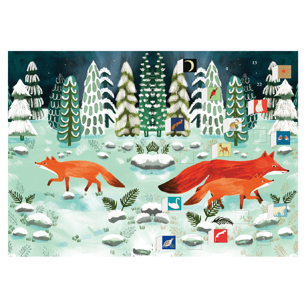Cub's First Christmas Playful Foxes Advent Calendar Card with envelope 170 x 120mm Roger la Borde