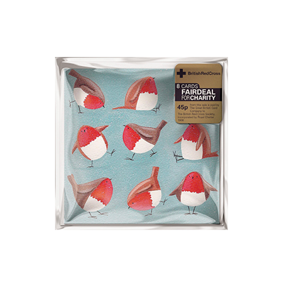 ROBIN WORKOUT 8 Charity Christmas Cards 100mm x 100mm