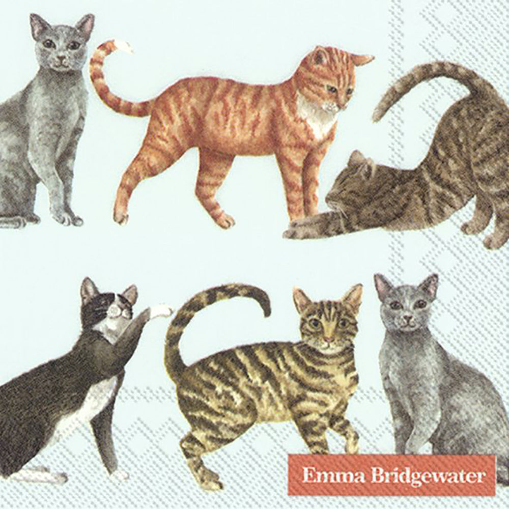 Emma Bridgewater CATS light blue IHR Paper Cocktail Napkins 25 cm square 3 ply 20 pack