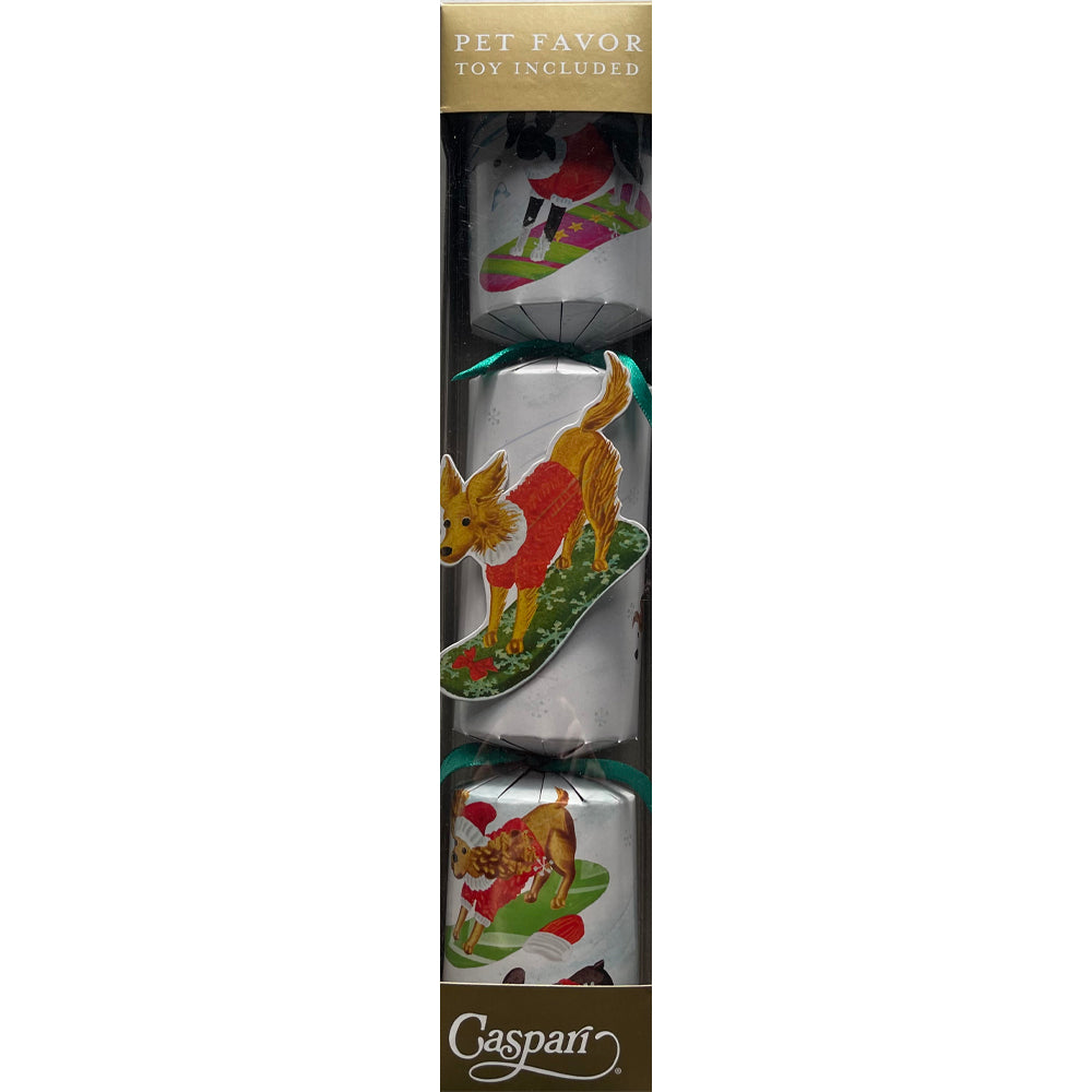 Caspari Crackers Pet Favour Pet Favour-Off leash Dogs by Masaki Ryo - Snowboarding Dog Single Cracker with Dog Toy