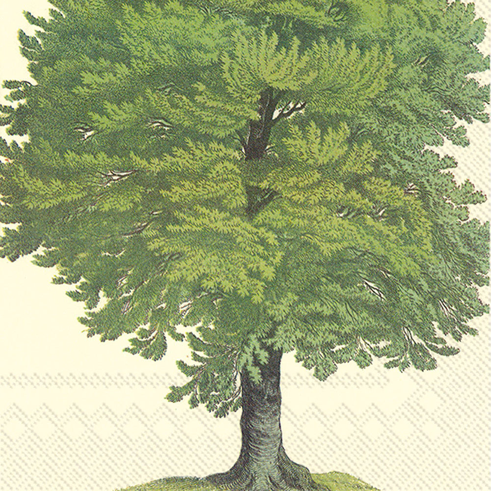 Beech and Birch Trees Green IHR Paper Lunch Napkins 33 cm sq 3 ply 20 pack