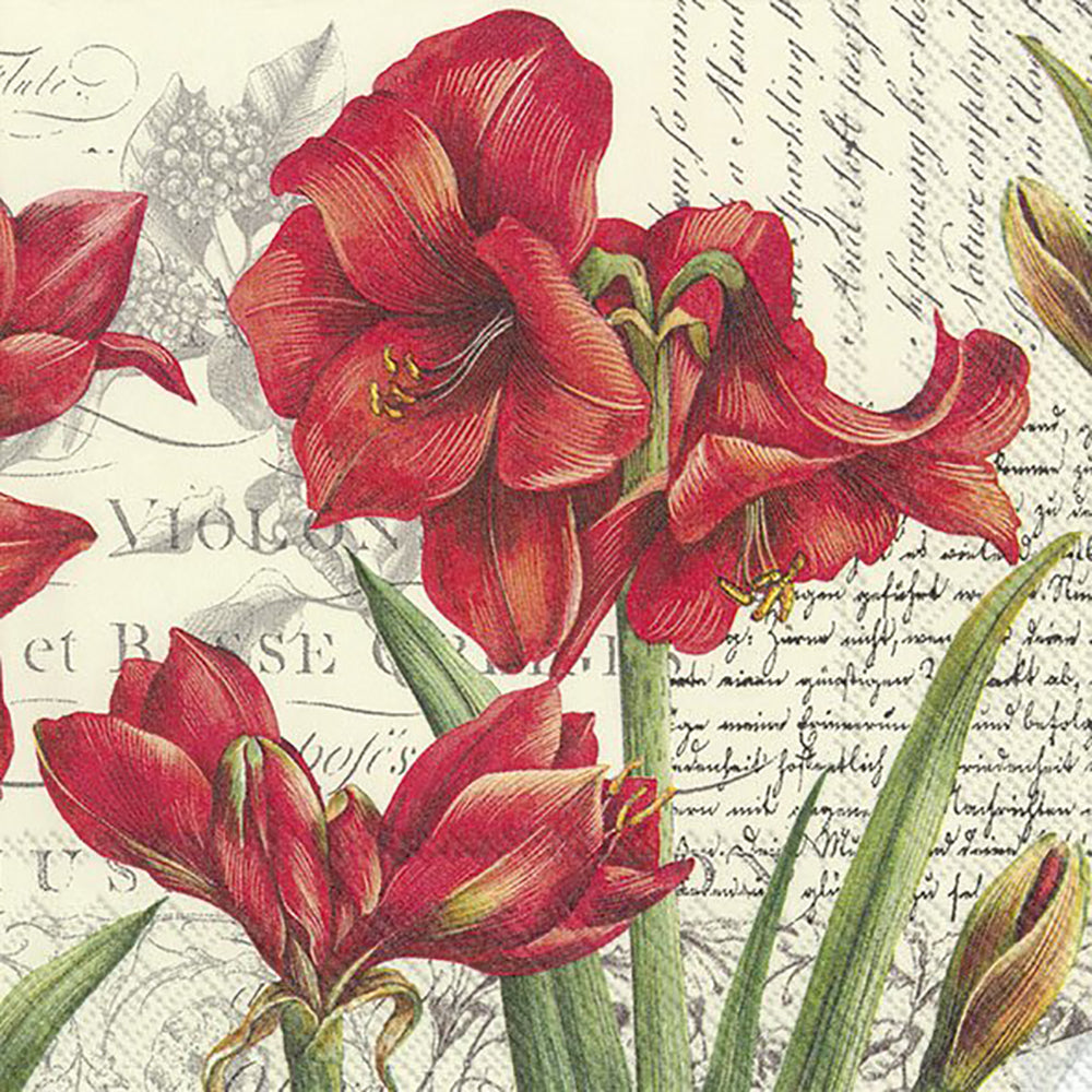 LA BEAUTÉ ROUGE Cream Red Flowers IHR Paper Lunch Napkins 33 cm sq 3 ply 20 pack
