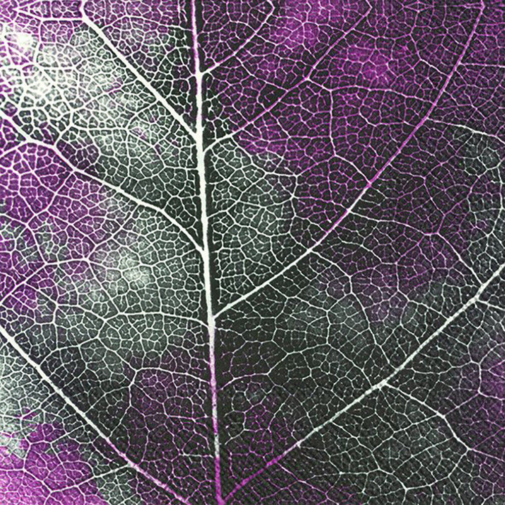 THE LEAF Pink IHR Paper Lunch Napkins 33 cm sq 3 ply 20 pack