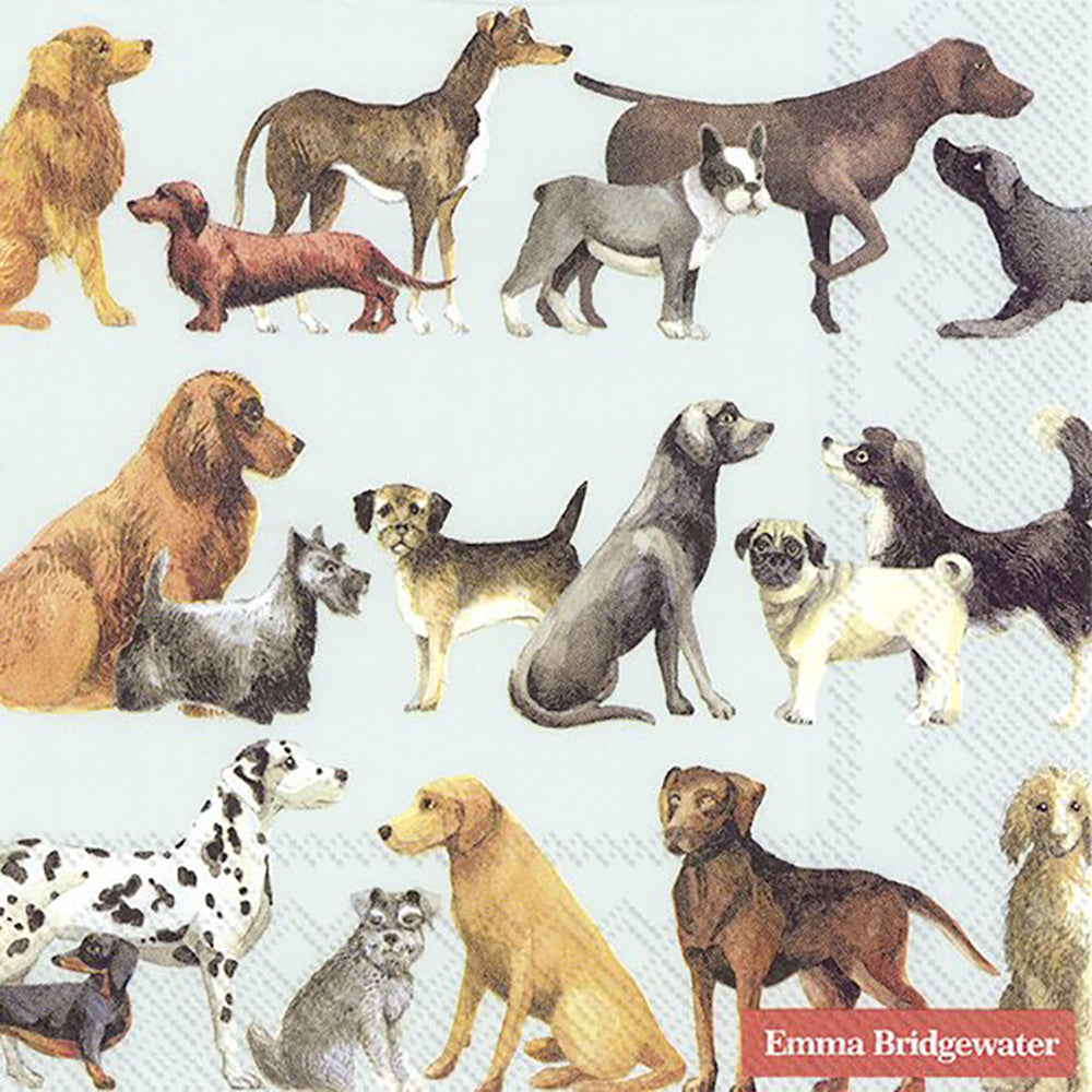 Emma Bridgewater DOGS light blue IHR Paper Lunch Napkins 33 cm sq 3 ply 20 pack