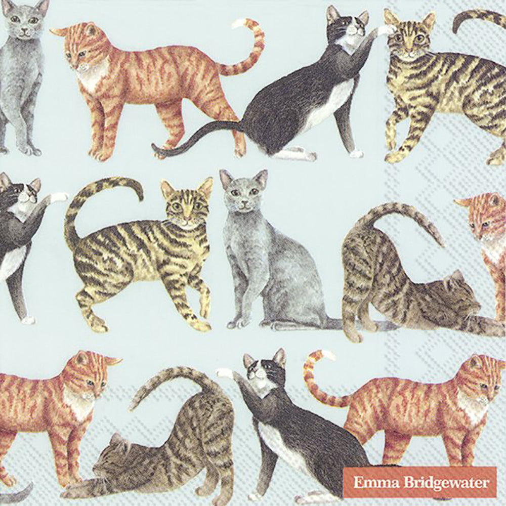 Emma Bridgewater CATS light blue IHR Paper Lunch Napkins 33 cm sq 3 ply 20 pack