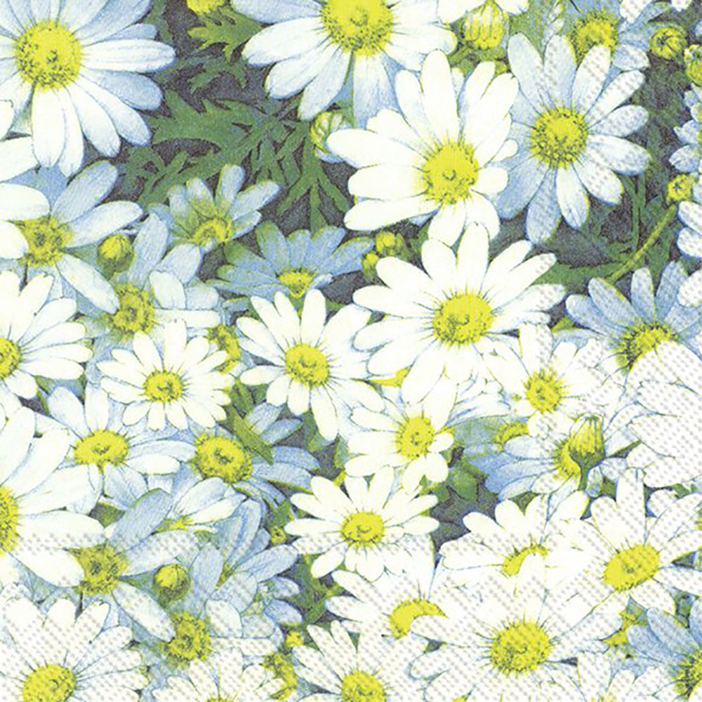Margaret White Daisies IHR Paper Lunch Napkins 33 cm sq 3 ply 20 pack