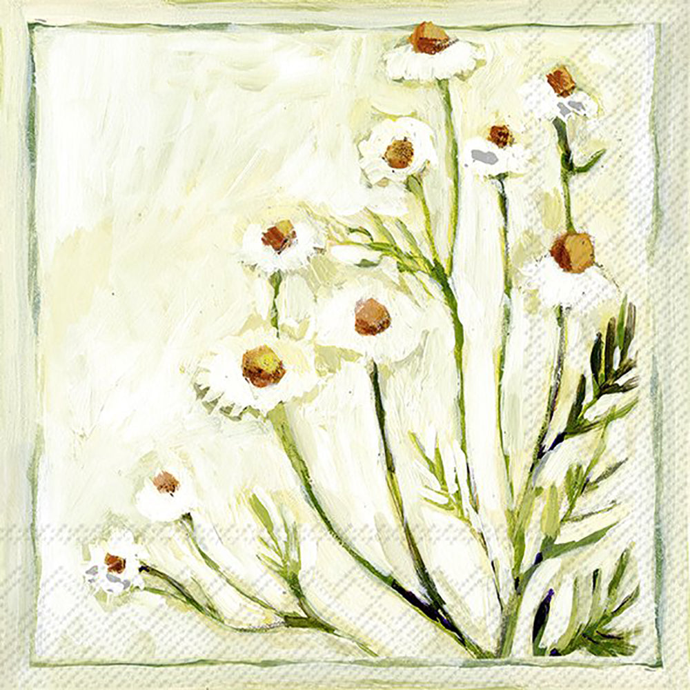 CAMOMILLE White Flowers IHR Paper Lunch Napkins 33 cm sq 3 ply 20 pack