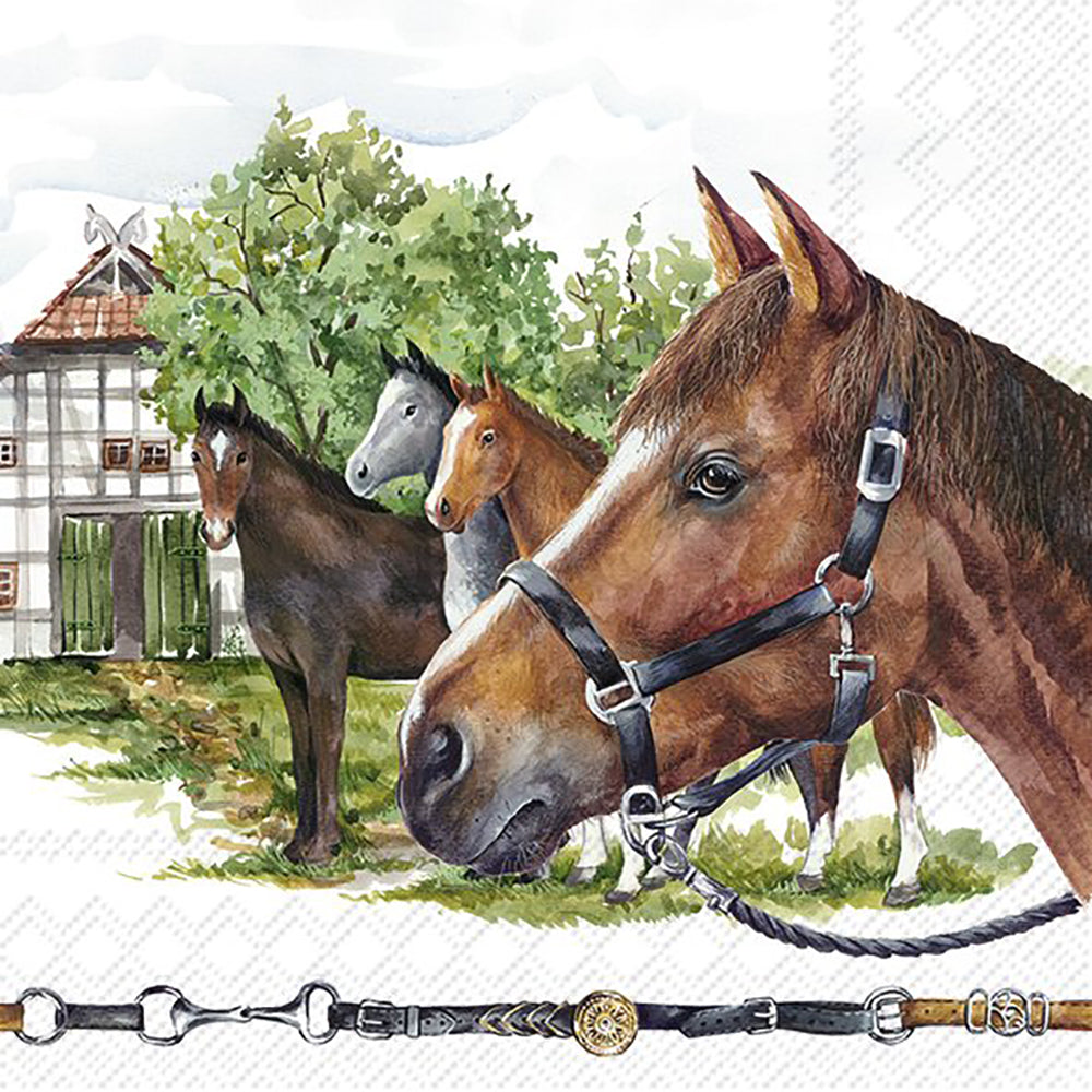NIKAS FAMILY White Brown Horses IHR Paper Lunch Napkins 33 cm sq 3 ply 20 pack