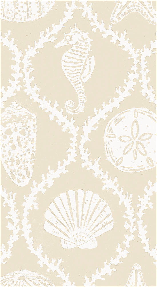 Sand Seychelles Shells Caspari Paper Guest Towels 32 x 39 cm 15 pack