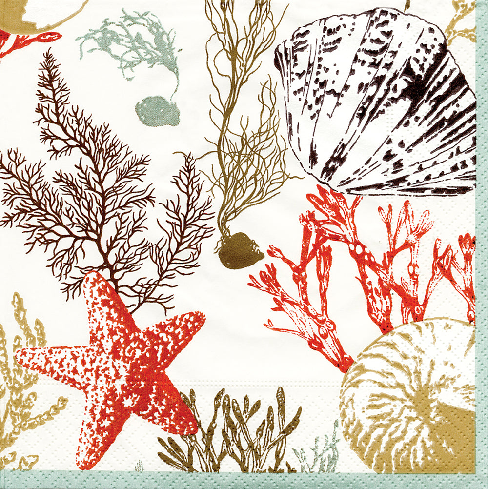 Ivory Marine Study Coral Shells Caspari Paper Lunch Napkins 33 cm sq 3 ply 20 pack