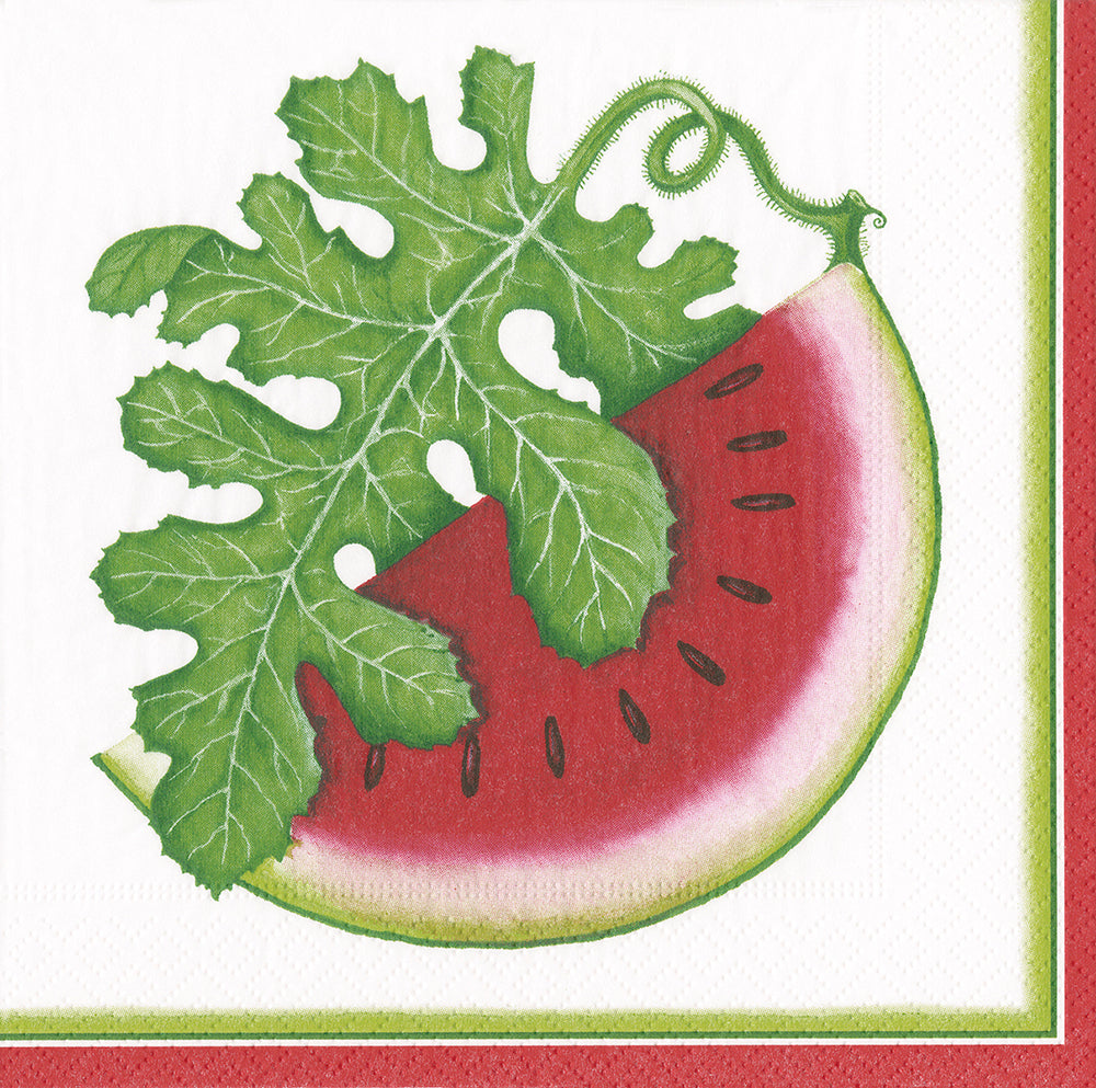 Watermelon Picnic White Green Caspari Paper Lunch Napkins 33 cm sq 3 ply 20 pack