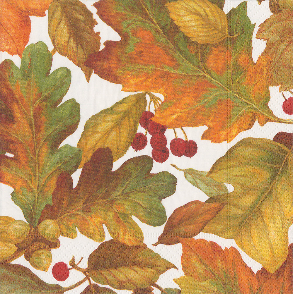 Autumn Leaves by Pamela Gladding Orange Yellow Acorns Caspari Paper Lunch Napkins 33 cm sq 3 ply 20 pack