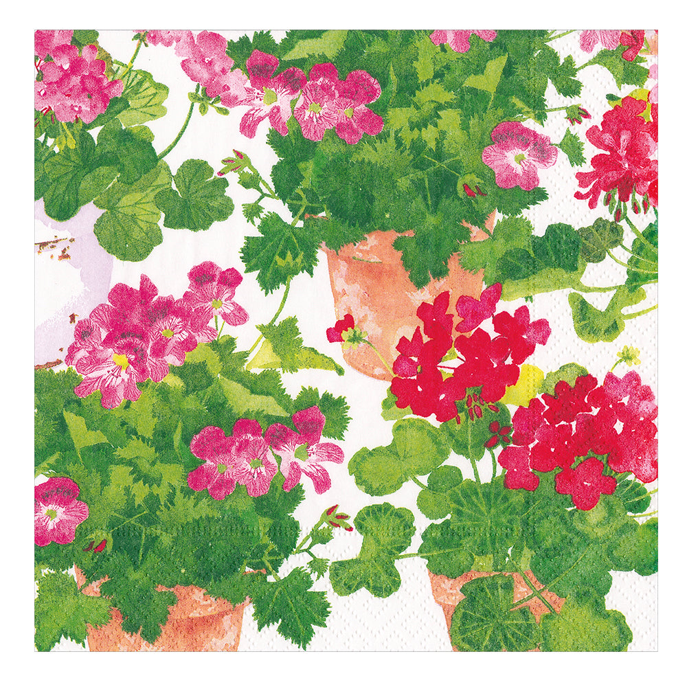 Trailing Geranium by Catherine Weisz Caspari Paper Lunch Napkins 33 cm sq 3 ply 20 pack
