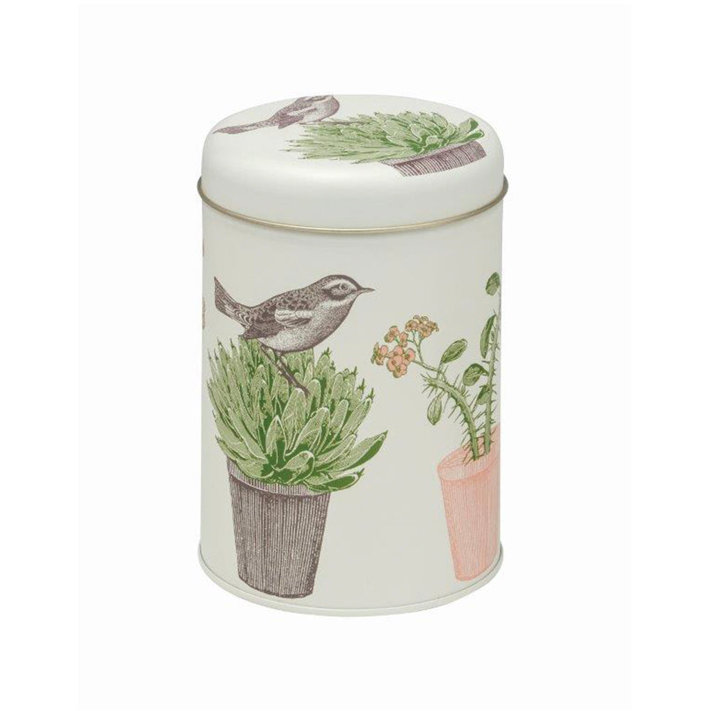 Thornback and Peel - Bird & Cactus Round Caddy Tin 106 (d) x 150mm