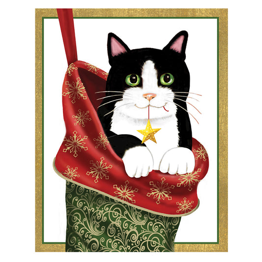 Caspari Christmas Cards Cat in Stocking by Barbara Schaffer  96mm x 120mm 5 in a pack with envelopes