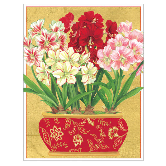 Amaryllis in Pot by Janine Moore Caspari Christmas Cards 118mm x 153mm 5 in a pack