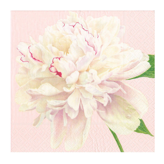 Duchess Peonies Blush Pink Floral Caspari Paper Dinner Napkins 40 cm square 3 ply 20 pack