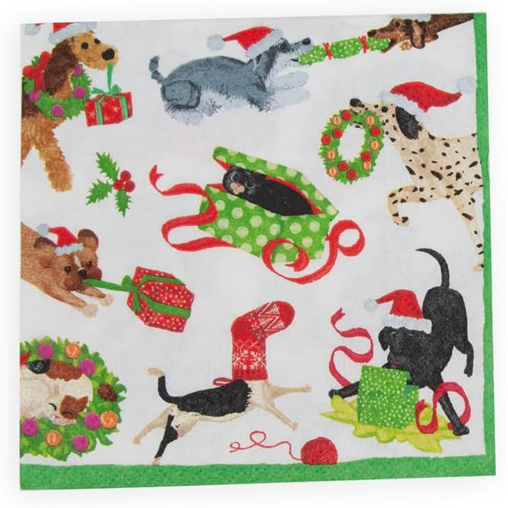 Christmas Mischief Cats and Dogs Caspari Paper Table Napkins 33 cm square 3 ply lunch napkins