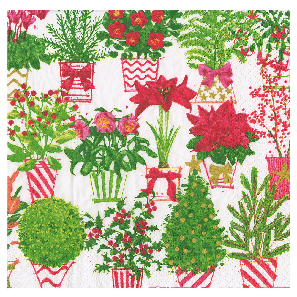 Christmas Flower Market Caspari Paper Table Lunch Napkins 33 cm square 3 ply