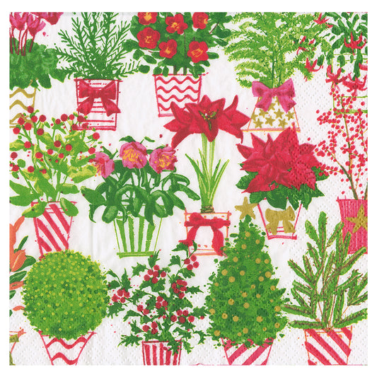 Christmas Flower Market Caspari Paper Table Lunch Napkins 33 cm square 3 ply