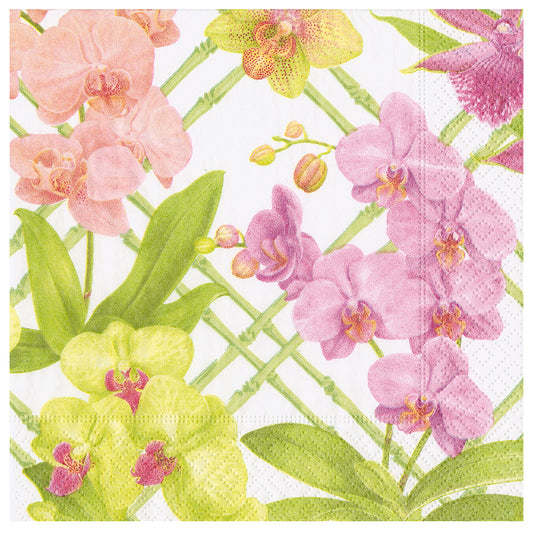 Orchid Conservatory Floral Flowers Caspari Paper Table Napkins 40 cm square 3 ply dinner napkins