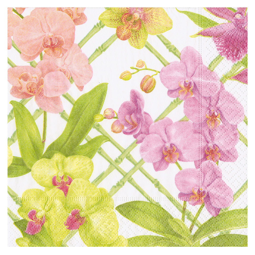 Orchid Conservatory Caspari Paper Table Napkins 33 cm square 3 ply lunch napkins