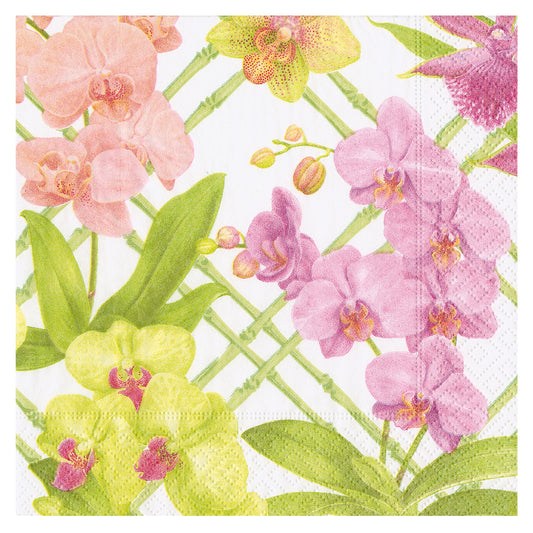 Orchid Conservatory Caspari Paper Table Napkins 33 cm square 3 ply lunch napkins