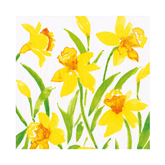 Spring Herald Daffodils Caspari Paper Table Lunch Napkins 33 cm square 3 ply