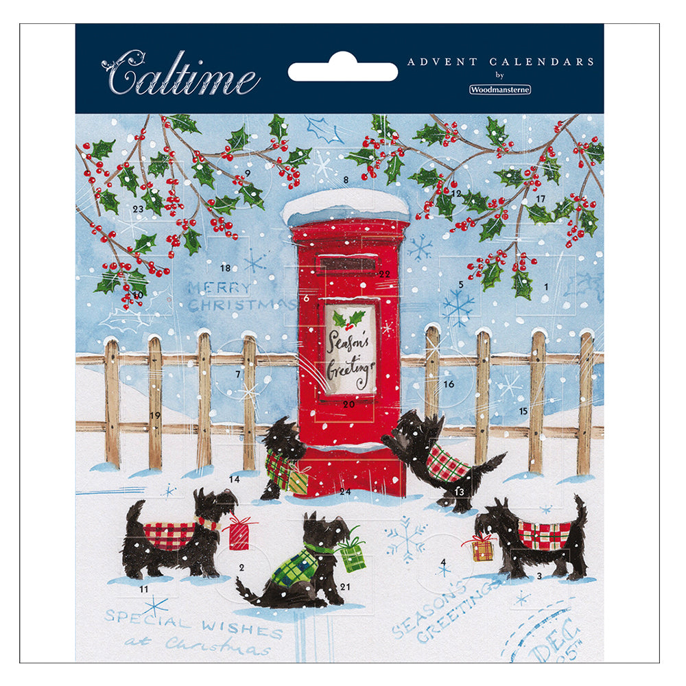 Scotty Dog Postbox Advent Calendar Card 160 x 160 mm Caltime with envelope