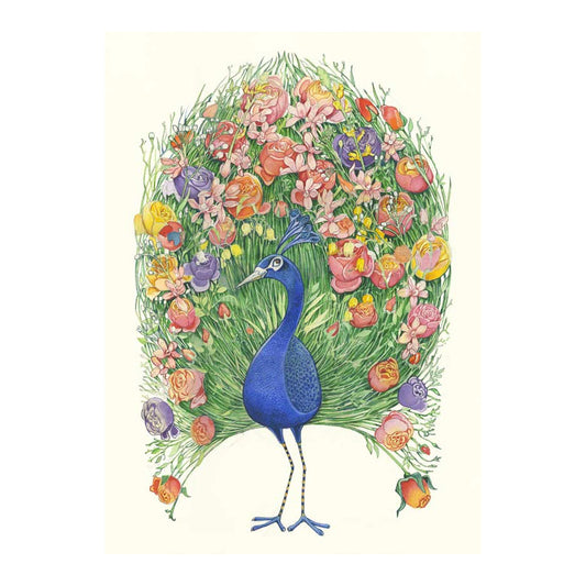 Peacock Greeting Card by Daniel Mackie - 7 x 5 inches with envelope