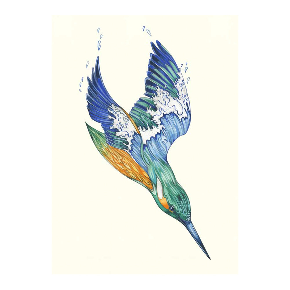 Kingfisher Greeting Card by Daniel Mackie - 7 x 5 inches with envelope