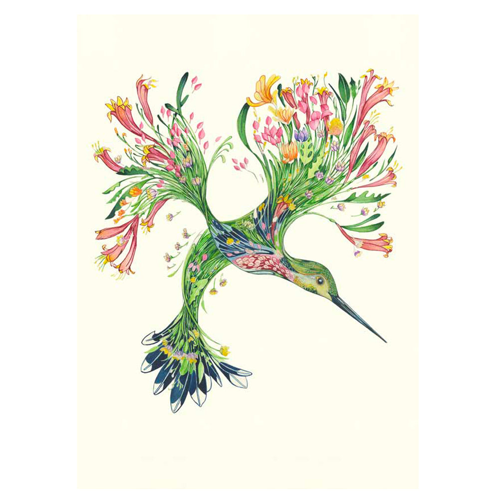 Hummingbird Greeting Card by Daniel Mackie - 7 x 5 inches with envelope
