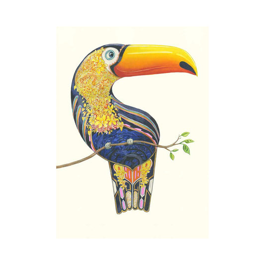 Toucan Card by Daniel Mackie - 7 x 5 inches with envelope